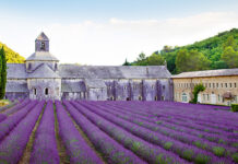 Carnets de Voyage de Stéphane Maurel, destination « Le Luberon »