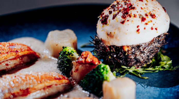 Recette : Oursin soufflé et rougets, jus en oursinade et endives braisées par Philippe Combet