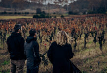 Domaine viticole : Mas Saint Laurent, les racines du vivant avec Thomas Réa
