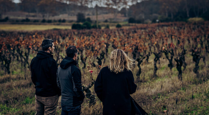 Domaine viticole : Mas Saint Laurent, les racines du vivant avec Thomas Réa