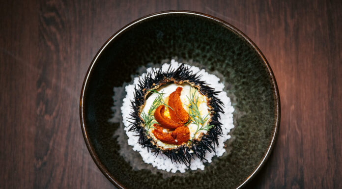 Recette : Langues d’oursin servies dans leur coque et marinées aux agrumes, mousseline de choux-fleur par Thomas Réa