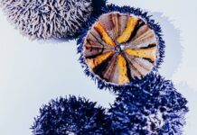 Le produit de saison : l’Oursin