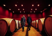 Le Mas de l’Écriture, au cœur des terrasses du Larzac