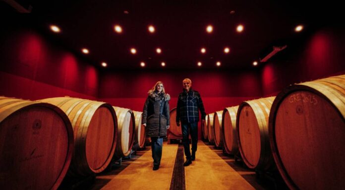 Le Mas de l’Écriture, au cœur des terrasses du Larzac