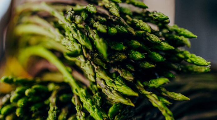 Producteurs : Olivier Grimaud, racines, terroir et transmission