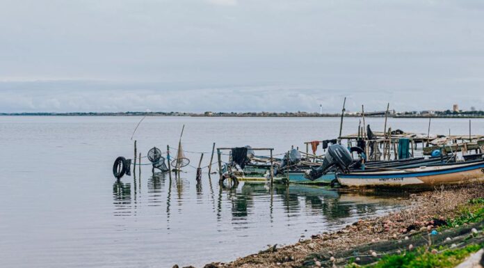 Producteurs : Laurent Pezzotti, gardien de l’étang de l’Or