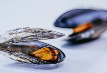 Manifeste pour la moule | Petite mais musclée, la moule a tout d’une grande