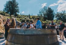 Concours des Vins de la Vallée de l’Hérault – Un millésime d’exception pour la 38e  édition
