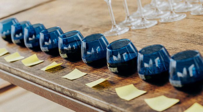 Les Chefs d’Oc pressent leur première huile d’olive