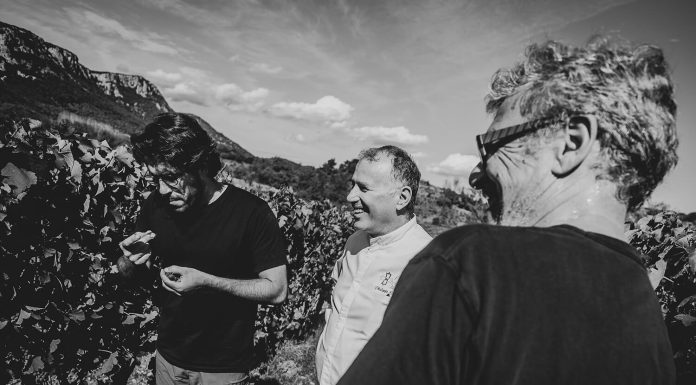 Domaine Viticole : Domaine Sauzet avec Philippe Combet