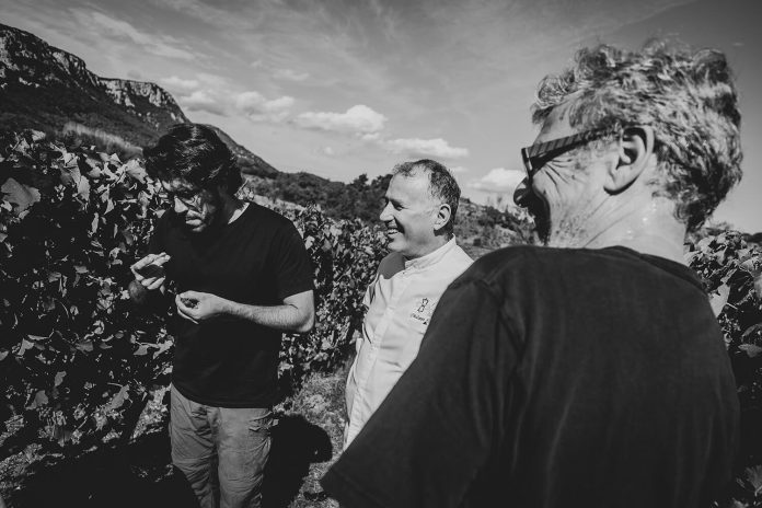 CDO_Domaine_de_Sauzet-41