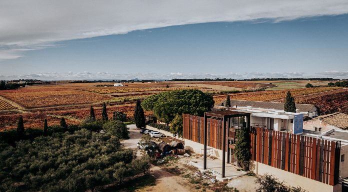Domaine Viticole : Azurs et Centenaires