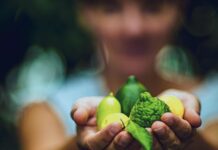 Les producteurs : ceux qui nourrissent l’Occitanie