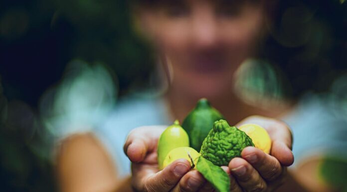 Les producteurs : ceux qui nourrissent l’Occitanie