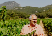 Héritage du Pic Saint Loup, Le vin en partage