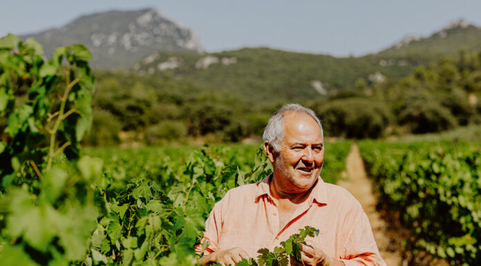 Héritage du Pic Saint Loup, Le vin en partage